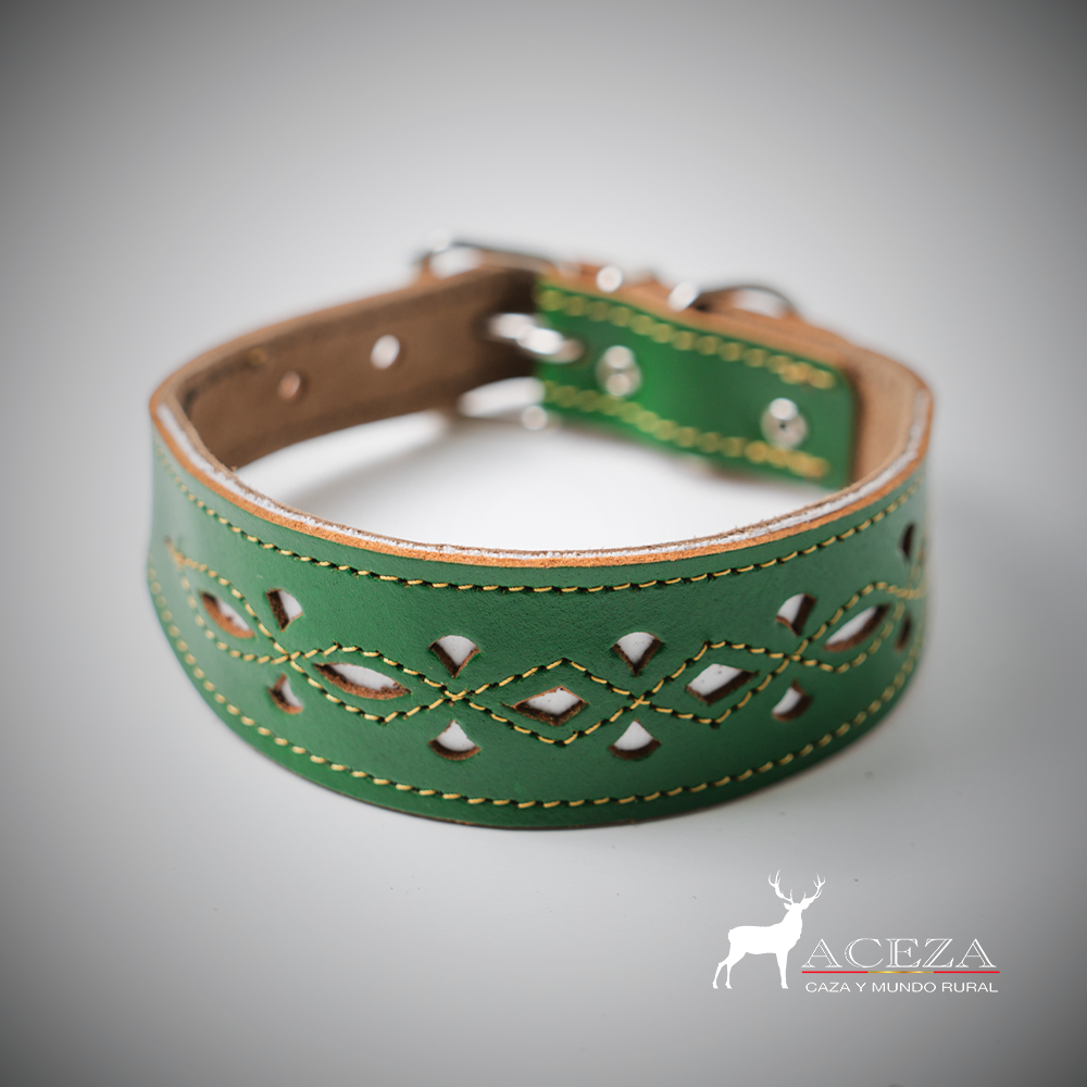 Collar para perro original calado verde