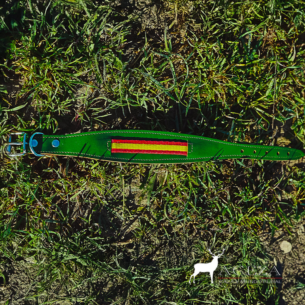 Collar de perro verde con bandera de España