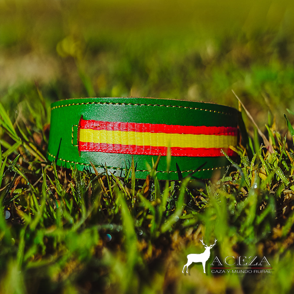 Collar de perro verde con bandera de España