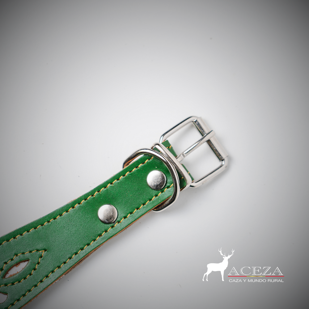 Collar para perro original calado verde