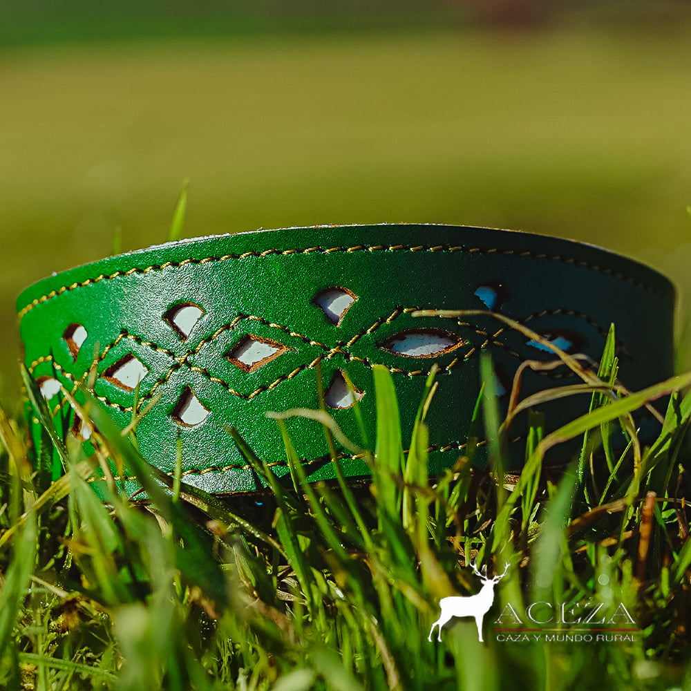 Collar para perro original calado verde