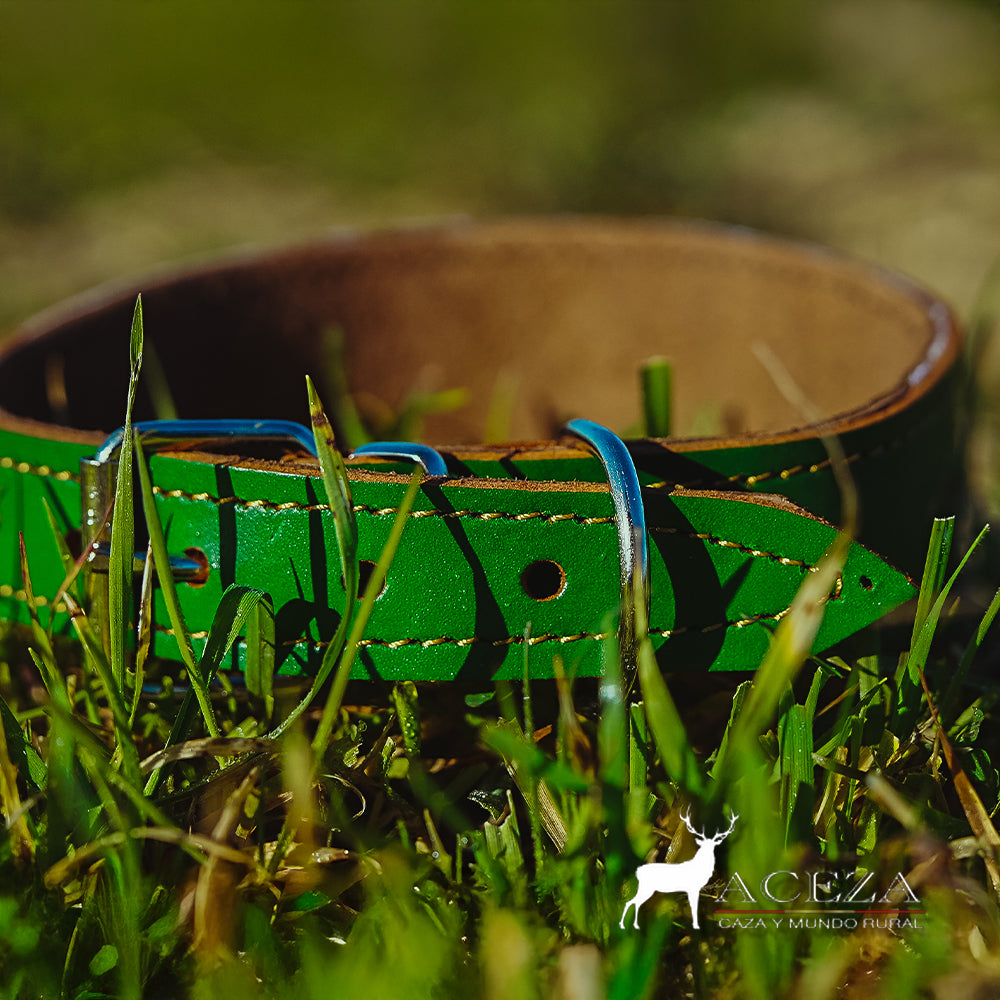 Collar para perro original calado verde