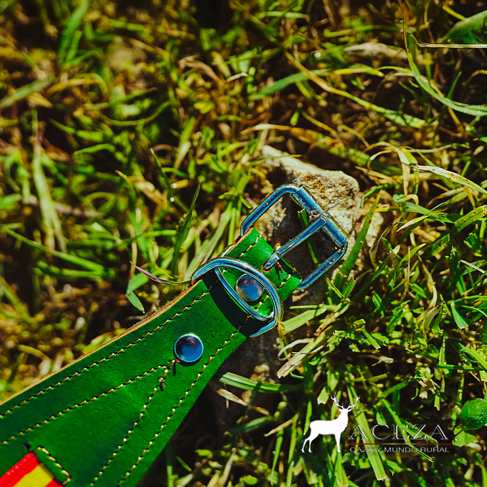 Collar de perro verde con bandera de España