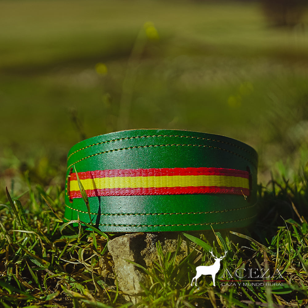 Collar de perro verde con bandera de España
