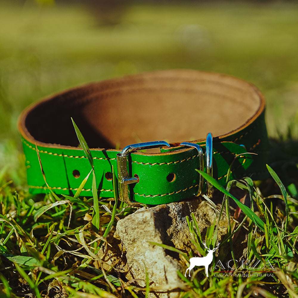Collar de perro verde con bandera de España