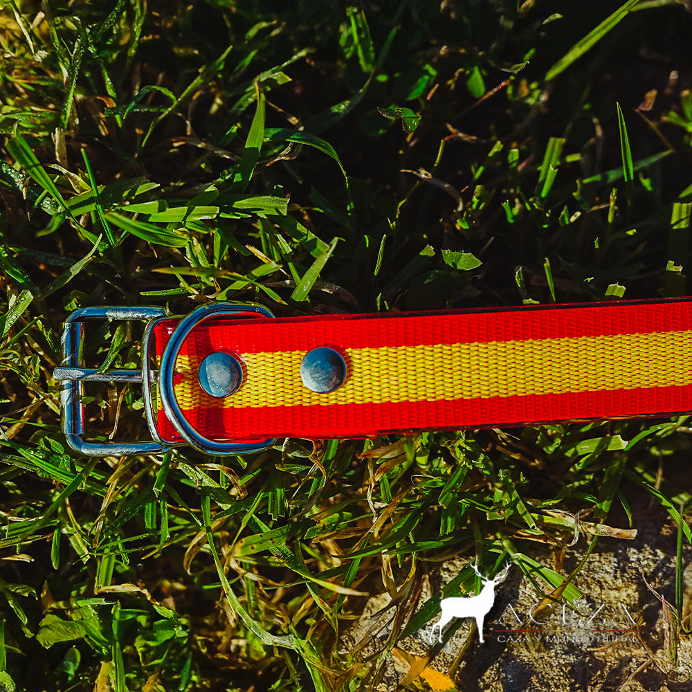 detalle de la hebilla del Collar de biothane con la bandera de España en el cesped