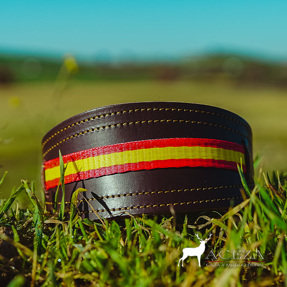 collar de perro con la bandera de españa frontal en el cesped