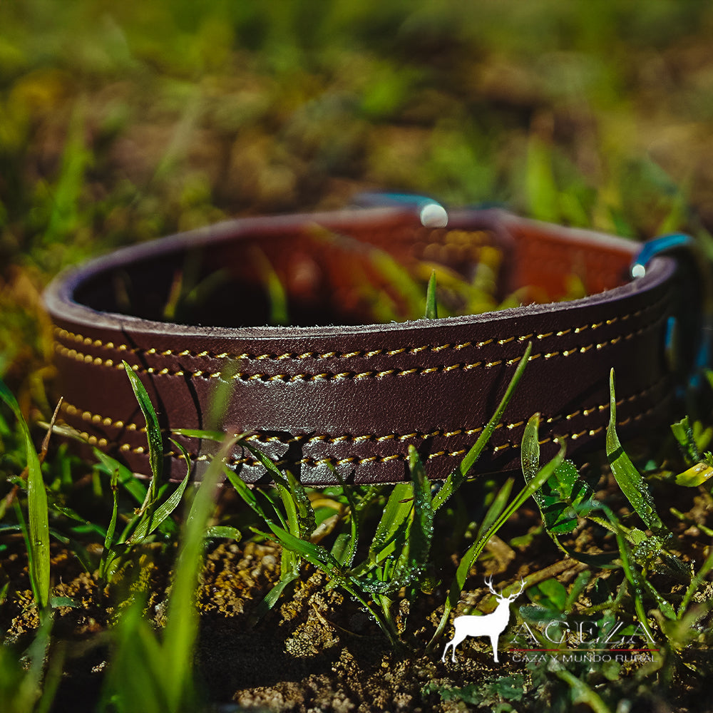 collar de perro artesanal encima del cesped