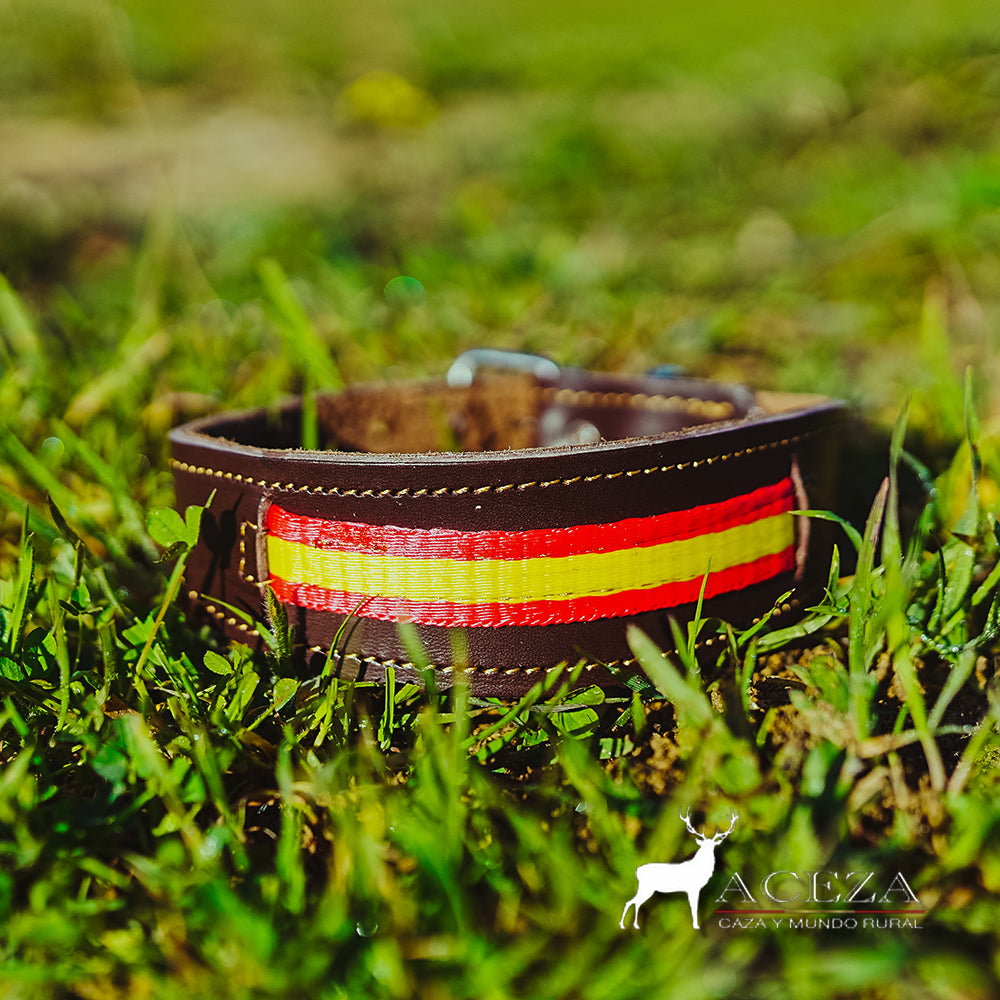 collar de perro de cuero con la bandera de españa de frontal en el cesped