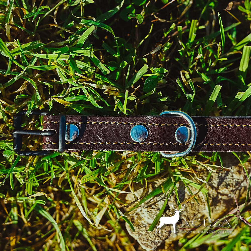 detalle de la hebilla del collar de perro de piel frontal en el cesped