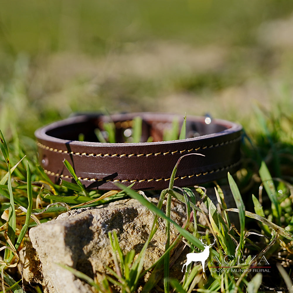 collar de perro de piel frontal en el cesped