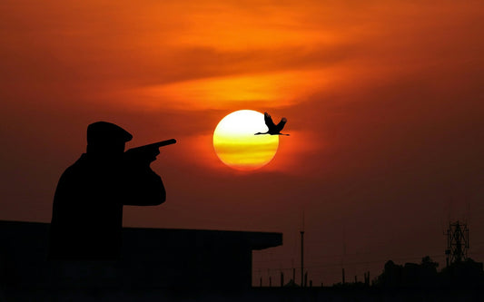Cazador apuntando con la escopeta a un ave