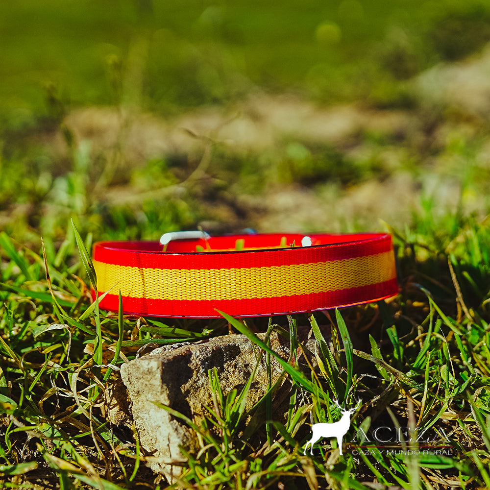 Collar de biothane con la bandera de España en el cesped