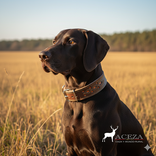 Collar para perro grande de cuero calado marrón